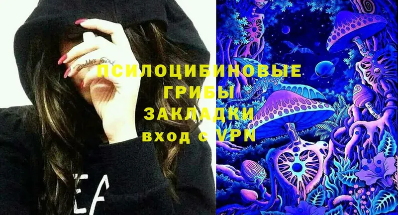 Псилоцибиновые грибы Cubensis  ссылка на мегу ссылки  Георгиевск  купить наркоту 